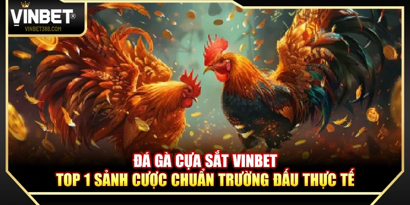 Đá Gà Cựa Sắt Vinbet – Top 1 Sảnh Cược Chuẩn Trường Đấu Thực Tế