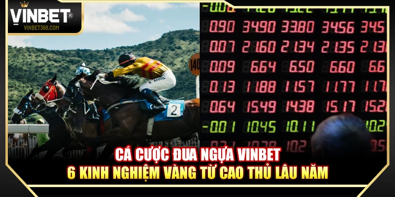 Cá Cược Đua Ngựa Vinbet – 6 Kinh Nghiệm Vàng Từ Cao Thủ Lâu Năm