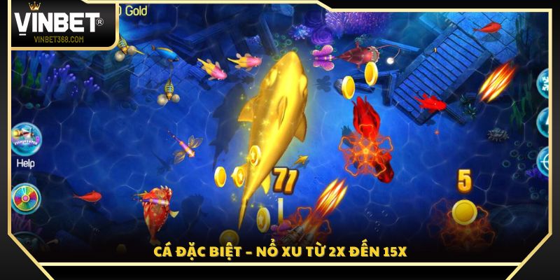Loài cá đặc biệt giúp nhân thưởng từ 2 đến 15 lần