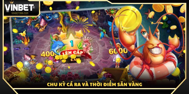 Cơ chế xuất hiện cá và thời điểm vàng để săn thưởng