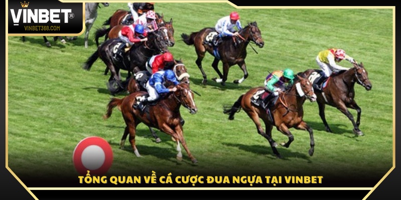Tìm hiểu cá cược đua ngựa trên Vinbet