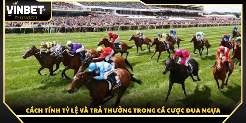 Chi tiết công thức tính tỷ lệ và mức trả thưởng 