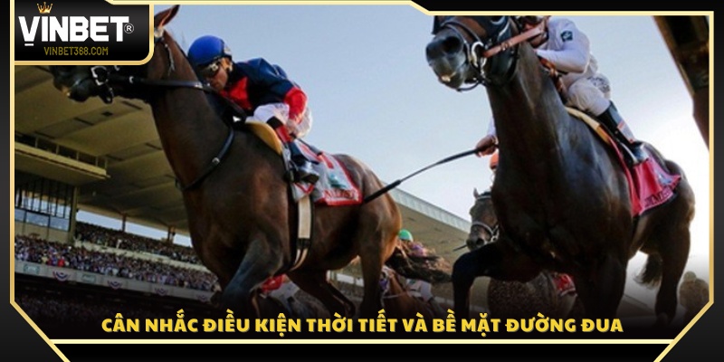 Cách đánh giá điều kiện sân đua và thời tiết 