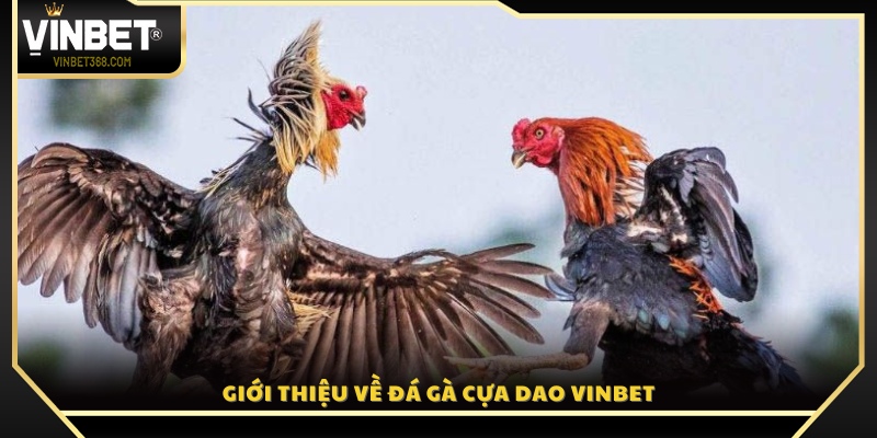 Tổng quan về trò chơi đá gà cựa dao tại Vin Bet