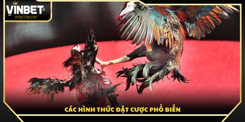 Những loại kèo cược được ưa chuộng nhất 