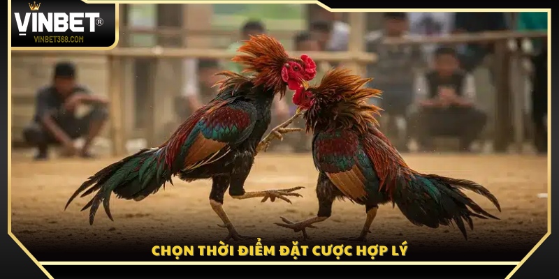 Bí quyết xác định thời điểm xuống tiền chuẩn xác