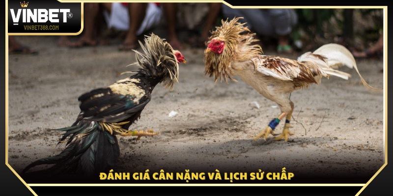 Cách xác định trọng lượng và mức chấp giữa các chiến kê