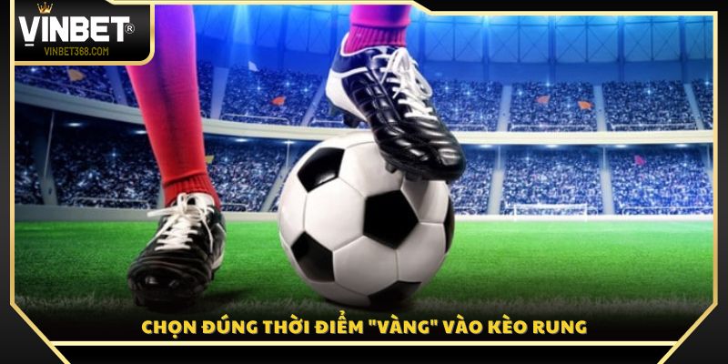 Canh chuẩn thời điểm lý tưởng để vào kèo rung đạt hiệu quả 