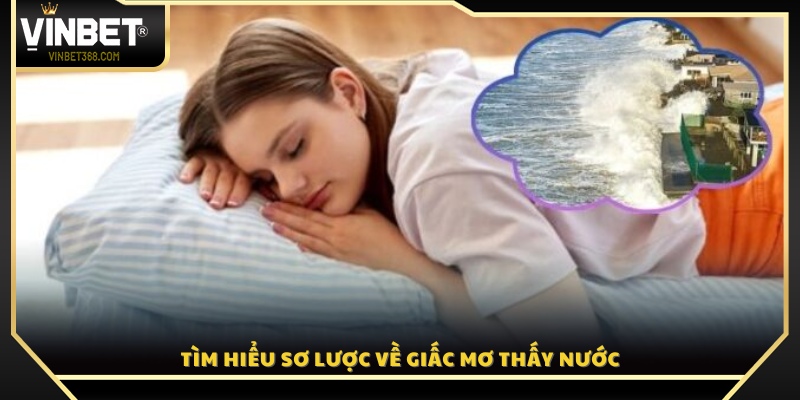 Giới thiệu và ý nghĩa tổng quan của giấc mơ thấy nước