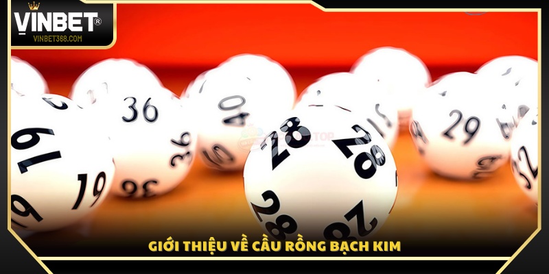 Giới thiệu khái quát về cách soi cầu Rồng Bạch Kim